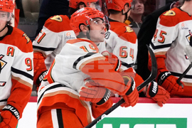 Ducks Penguins Hockey