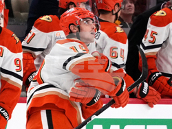 Ducks Penguins Hockey