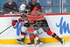 Devils Senators Hockey