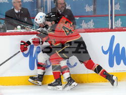 Devils Senators Hockey