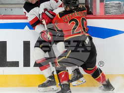 NHL Devils Senators Hockey