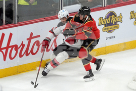 Devils Senators Hockey