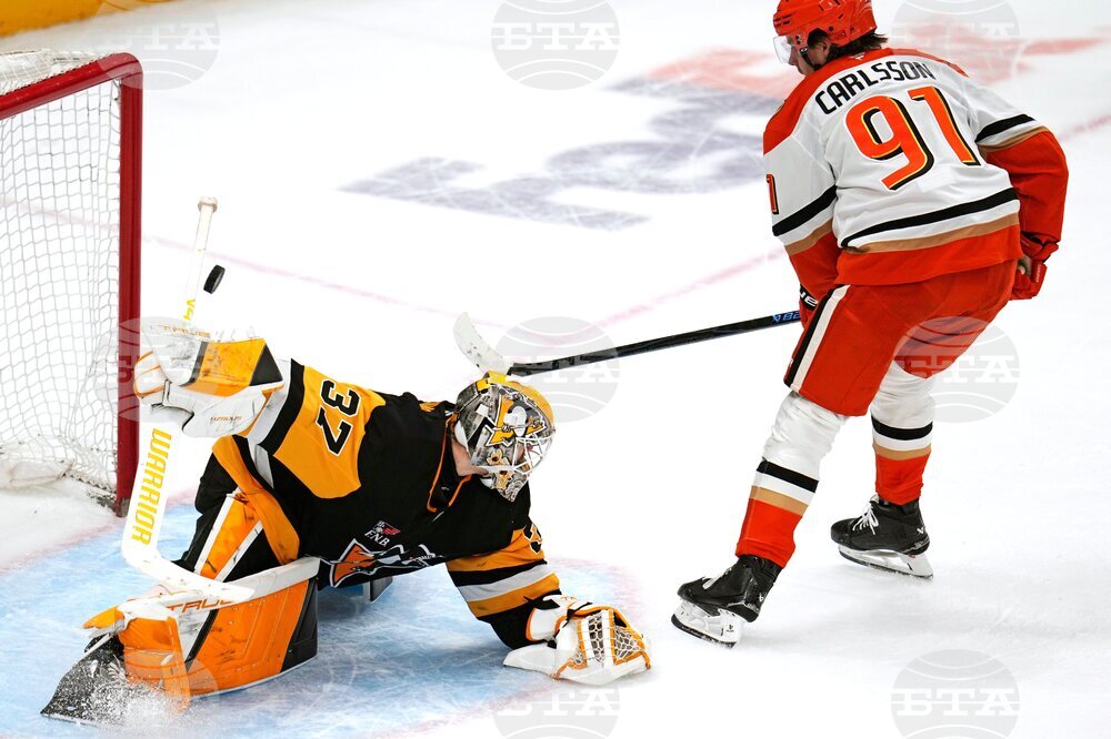 Ducks Penguins Hockey