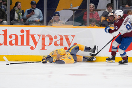 Avalanche Predators Hockey