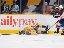 Avalanche Predators Hockey