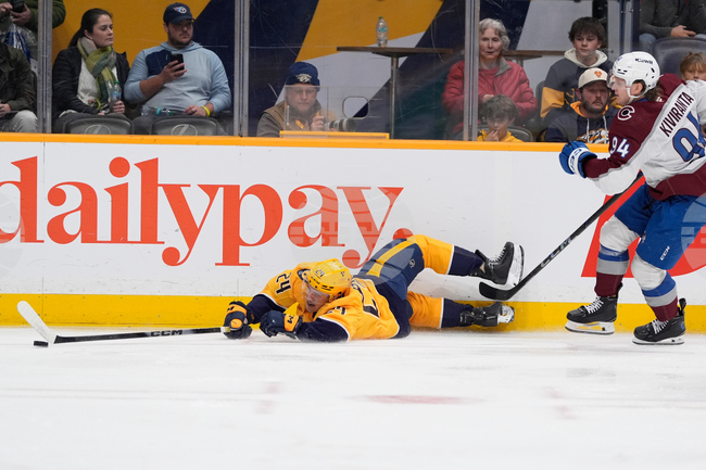 Avalanche Predators Hockey