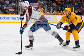 Avalanche Predators Hockey