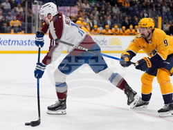 Avalanche Predators Hockey