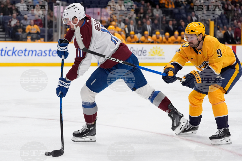 Avalanche Predators Hockey