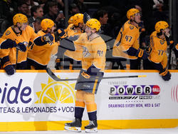 Avalanche Predators Hockey