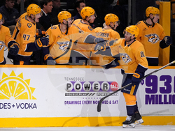 Avalanche Predators Hockey