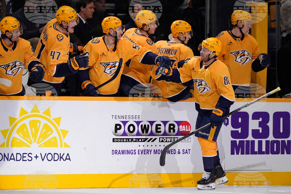 Avalanche Predators Hockey