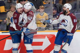 Avalanche Predators Hockey