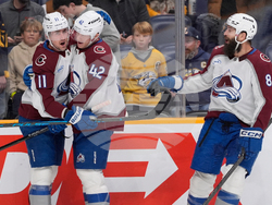 Avalanche Predators Hockey
