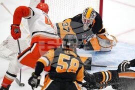 Ducks Penguins Hockey