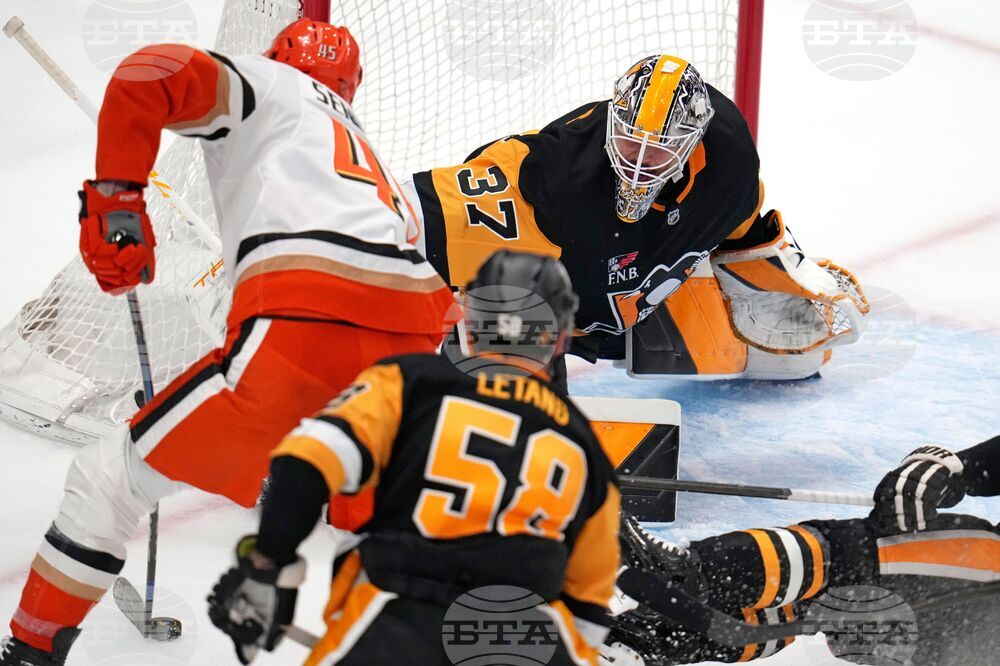 Ducks Penguins Hockey