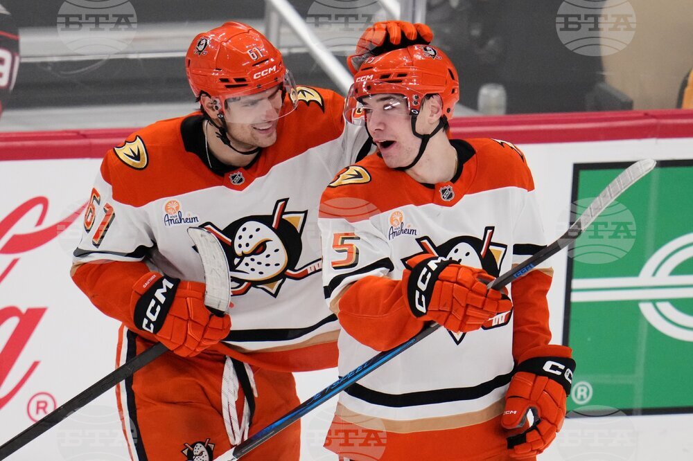 Ducks Penguins Hockey