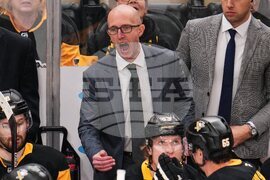 Ducks Penguins Hockey