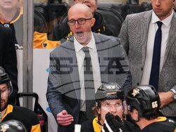 Ducks Penguins Hockey