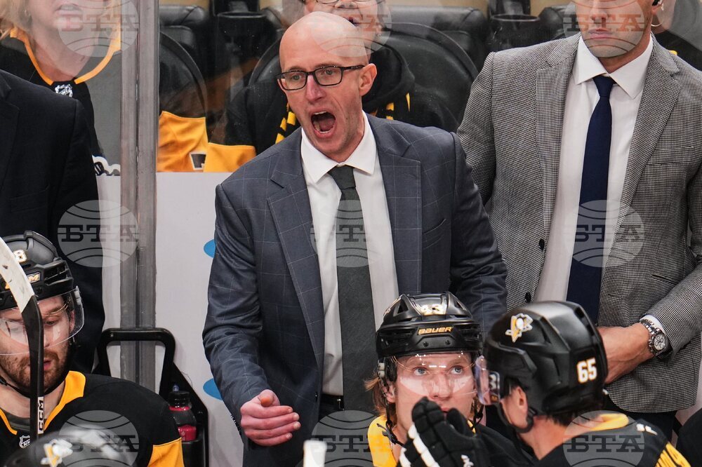 Ducks Penguins Hockey