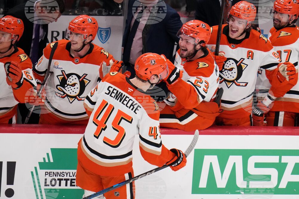 Ducks Penguins Hockey