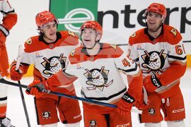 Ducks Penguins Hockey