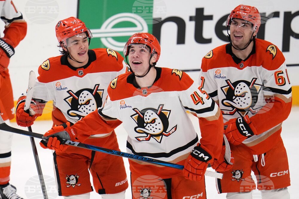 Ducks Penguins Hockey