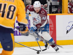 Avalanche Predators Hockey