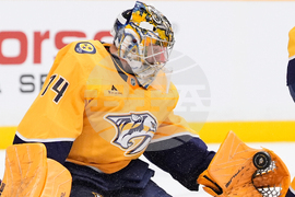 Avalanche Predators Hockey