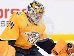 Avalanche Predators Hockey