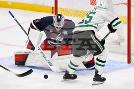 NHL Stars Jets Hockey