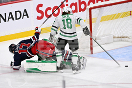 NHL Stars Jets Hockey