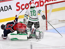 NHL Stars Jets Hockey