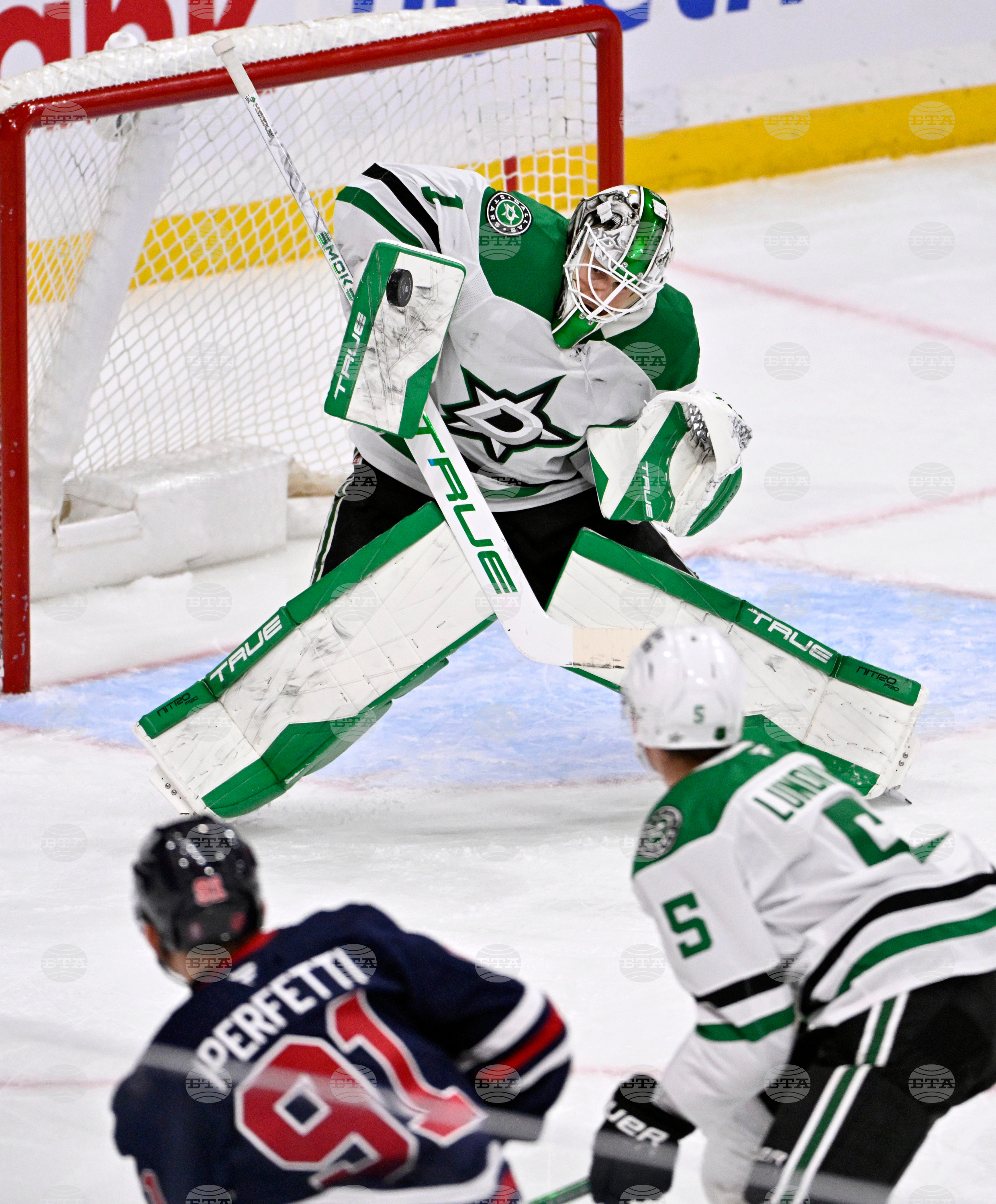 NHL Stars Jets Hockey