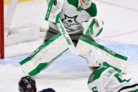 NHL Stars Jets Hockey