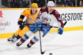 Avalanche Predators Hockey
