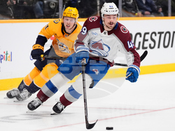 Avalanche Predators Hockey