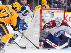 Avalanche Predators Hockey