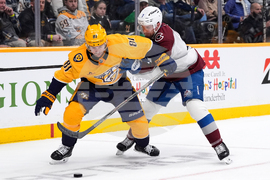 Avalanche Predators Hockey