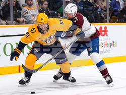 Avalanche Predators Hockey