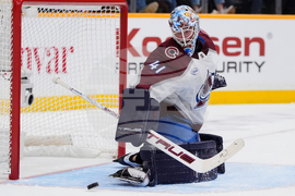 Avalanche Predators Hockey