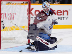 Avalanche Predators Hockey