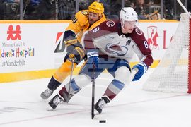 Avalanche Predators Hockey
