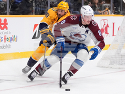 Avalanche Predators Hockey