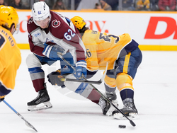 Avalanche Predators Hockey