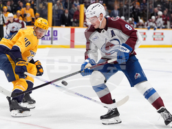 Avalanche Predators Hockey