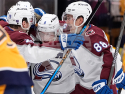 Avalanche Predators Hockey