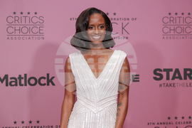 Critics Choice Association's 8th Annual Celebration of Black Cinema & Television