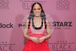 Critics Choice Association's 8th Annual Celebration of Black Cinema & Television