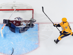 Avalanche Predators Hockey